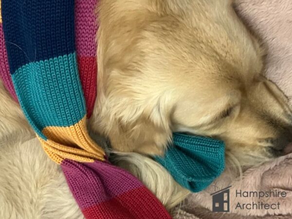 What is the Warm Homes Plan? Hampshire Architect Dog